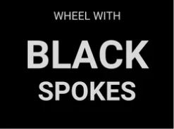 Wheel 26″ Alex SX-44 Red D/w Eyeleted Rim , Novatec Sealed 6 Bolt 8/10 Speed Q/r WHITE Disc Hub , Black Mach 1 Spoke , REAR